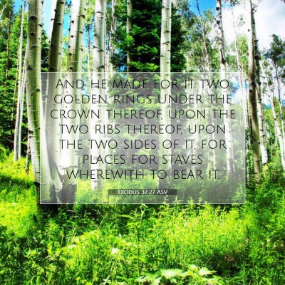 Picture 07 - Exodus 37:27 ASV - And he made for it two golden rings under the - Bible Verse Picture