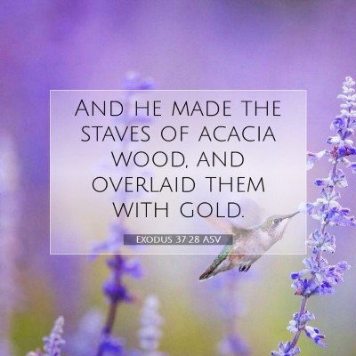 Picture 07 - Exodus 37:28 ASV - And he made the staves of acacia wood, and - Bible Verse Picture