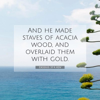 Picture 07 - Exodus 37:4 ASV - And he made staves of acacia wood, and overlaid - Bible Verse Picture