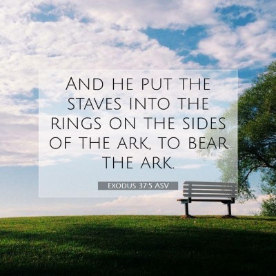 Picture 07 - Exodus 37:5 ASV - And he put the staves into the rings on the sides - Bible Verse Picture