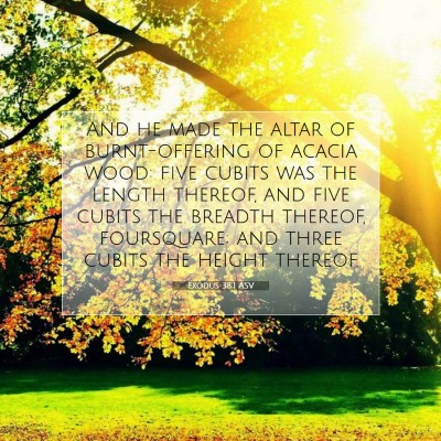 Picture 07 - Exodus 38:1 ASV - And he made the altar of burnt-offering of acacia - Bible Verse Picture