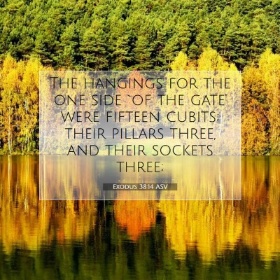 Picture 07 - Exodus 38:14 ASV - The hangings for the one side `of the gate' were - Bible Verse Picture