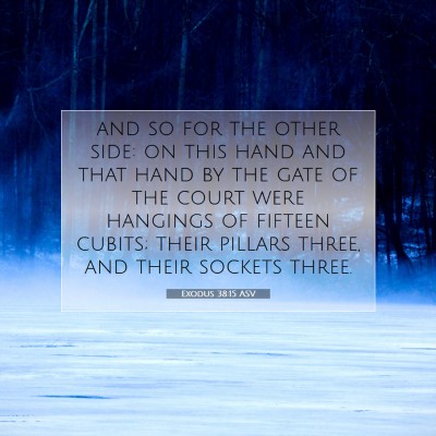 Picture 07 - Exodus 38:15 ASV - and so for the other side: on this hand and that - Bible Verse Picture