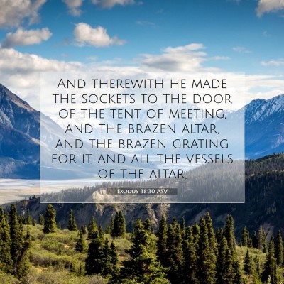 Picture 07 - Exodus 38:30 ASV - And therewith he made the sockets to the door of - Bible Verse Picture