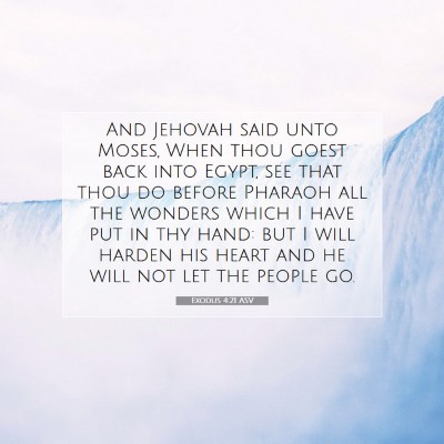Picture 07 - Exodus 4:21 ASV - And Jehovah said unto Moses, When thou goest back - Bible Verse Picture