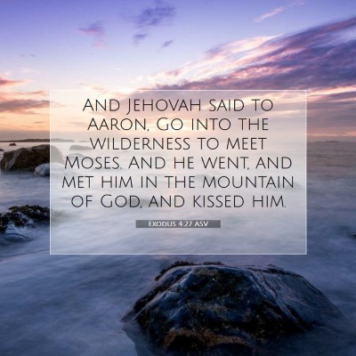 Picture 07 - Exodus 4:27 ASV - And Jehovah said to Aaron, Go into the wilderness - Bible Verse Picture