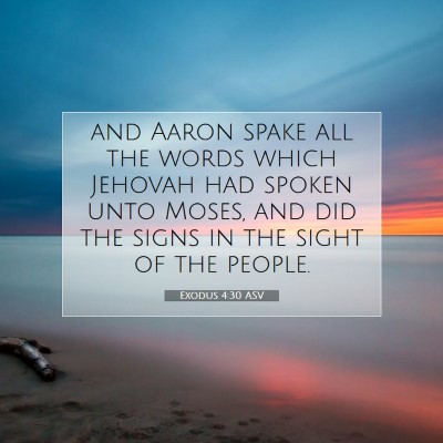 Picture 07 - Exodus 4:30 ASV - and Aaron spake all the words which Jehovah had - Bible Verse Picture