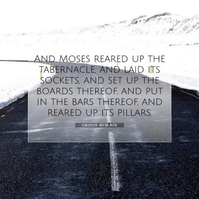 Picture 07 - Exodus 40:18 ASV - And Moses reared up the tabernacle, and laid its - Bible Verse Picture