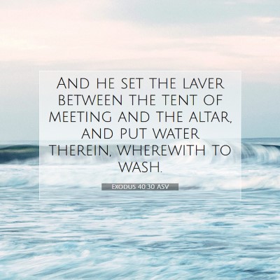 Picture 07 - Exodus 40:30 ASV - And he set the laver between the tent of meeting - Bible Verse Picture