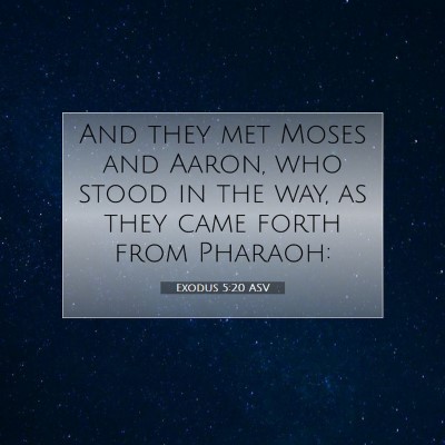 Picture 07 - Exodus 5:20 ASV - And they met Moses and Aaron, who stood in the - Bible Verse Picture