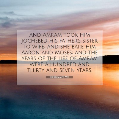 Picture 07 - Exodus 6:20 ASV - And Amram took him Jochebed his father's sister - Bible Verse Picture