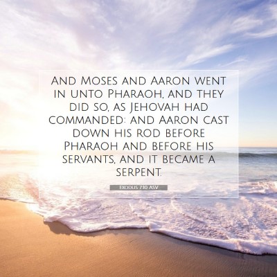 Picture 07 - Exodus 7:10 ASV - And Moses and Aaron went in unto Pharaoh, and - Bible Verse Picture