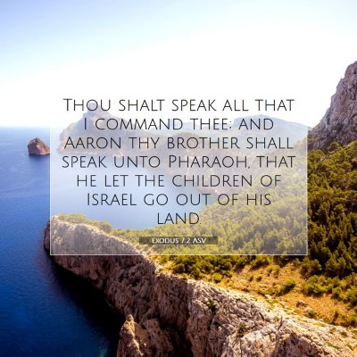 Picture 07 - Exodus 7:2 ASV - Thou shalt speak all that I command thee; and - Bible Verse Picture