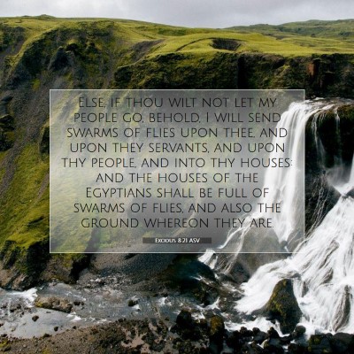Picture 07 - Exodus 8:21 ASV - Else, if thou wilt not let my people go, behold, - Bible Verse Picture