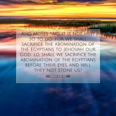 Picture 07 - Exodus 8:26 ASV - And Moses said, It is not meet so to do; for we - Bible Verse Picture