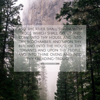 Picture 07 - Exodus 8:3 ASV - and the river shall swarm with frogs, which shall - Bible Verse Picture