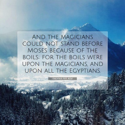 Picture 07 - Exodus 9:11 ASV - And the magicians could not stand before Moses - Bible Verse Picture