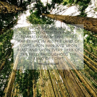 Picture 07 - Exodus 9:22 ASV - And Jehovah said unto Moses, Stretch forth thy - Bible Verse Picture