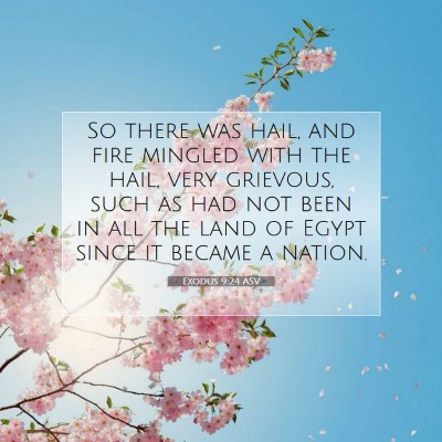Picture 07 - Exodus 9:24 ASV - So there was hail, and fire mingled with the - Bible Verse Picture