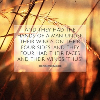 Picture 07 - Ezekiel 1:8 ASV - And they had the hands of a man under their wings - Bible Verse Picture