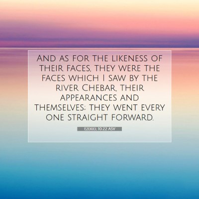 Picture 07 - Ezekiel 10:22 ASV - And as for the likeness of their faces, they were - Bible Verse Picture