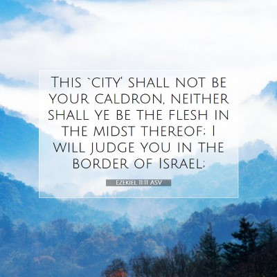 Picture 07 - Ezekiel 11:11 ASV - This `city' shall not be your caldron, neither - Bible Verse Picture