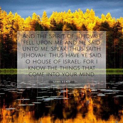 Picture 07 - Ezekiel 11:5 ASV - And the Spirit of Jehovah fell upon me, and he - Bible Verse Picture