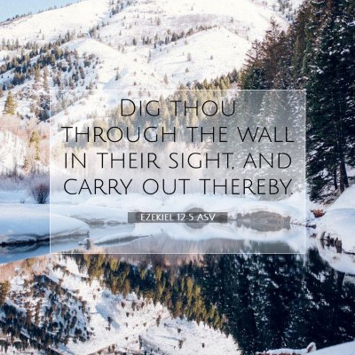 Picture 07 - Ezekiel 12:5 ASV - Dig thou through the wall in their sight, and - Bible Verse Picture