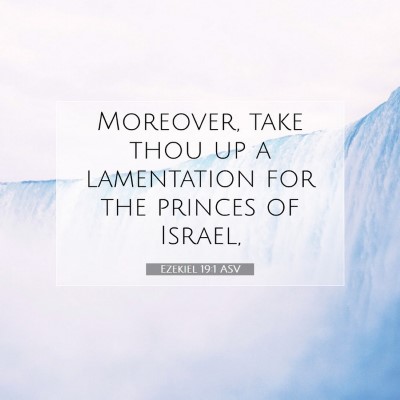 Picture 07 - Ezekiel 19:1 ASV - Moreover, take thou up a lamentation for the - Bible Verse Picture
