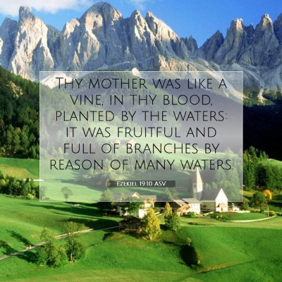 Picture 07 - Ezekiel 19:10 ASV - Thy mother was like a vine, in thy blood, planted - Bible Verse Picture