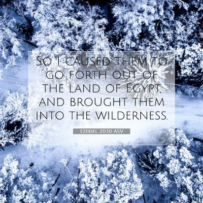 Picture 07 - Ezekiel 20:10 ASV - So I caused them to go forth out of the land of - Bible Verse Picture