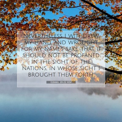 Picture 07 - Ezekiel 20:22 ASV - Nevertheless I withdrew my hand, and wrought for - Bible Verse Picture