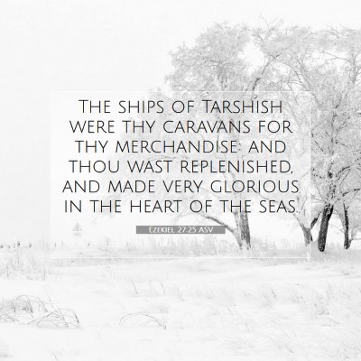 Picture 07 - Ezekiel 27:25 ASV - The ships of Tarshish were thy caravans for thy - Bible Verse Picture