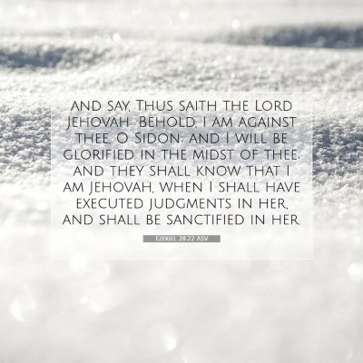 Picture 07 - Ezekiel 28:22 ASV - and say, Thus saith the Lord Jehovah: Behold, I - Bible Verse Picture