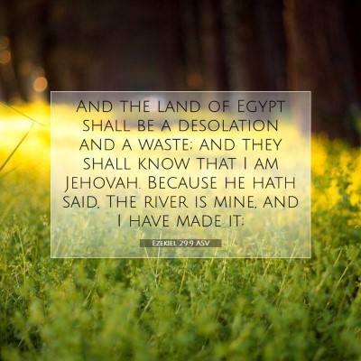 Picture 07 - Ezekiel 29:9 ASV - And the land of Egypt shall be a desolation and a - Bible Verse Picture