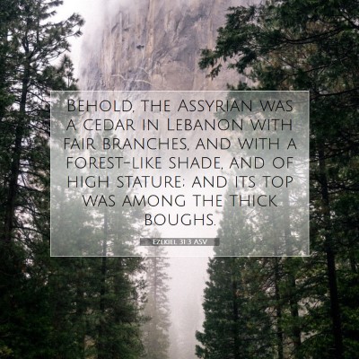 Picture 07 - Ezekiel 31:3 ASV - Behold, the Assyrian was a cedar in Lebanon with - Bible Verse Picture