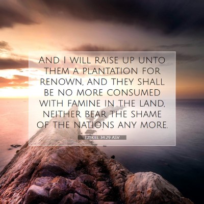 Picture 07 - Ezekiel 34:29 ASV - And I will raise up unto them a plantation for - Bible Verse Picture