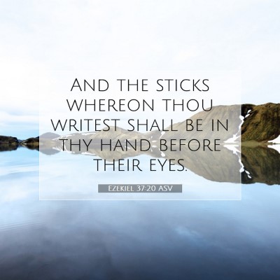 Picture 07 - Ezekiel 37:20 ASV - And the sticks whereon thou writest shall be in - Bible Verse Picture
