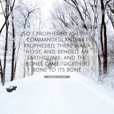 Picture 07 - Ezekiel 37:7 ASV - So I prophesied as I was commanded: and as I - Bible Verse Picture