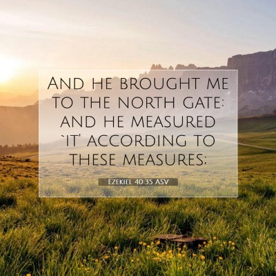 Picture 07 - Ezekiel 40:35 ASV - And he brought me to the north gate: and he - Bible Verse Picture