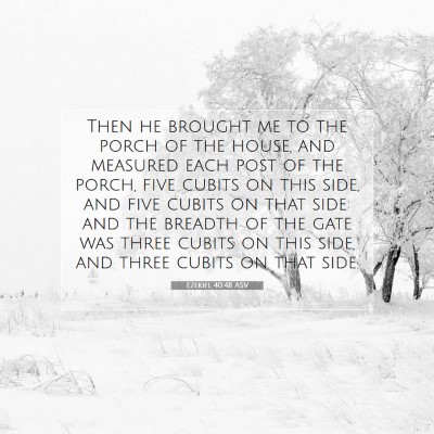 Picture 07 - Ezekiel 40:48 ASV - Then he brought me to the porch of the house, and - Bible Verse Picture
