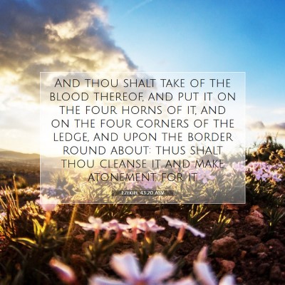 Picture 07 - Ezekiel 43:20 ASV - And thou shalt take of the blood thereof, and put - Bible Verse Picture
