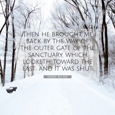 Picture 07 - Ezekiel 44:1 ASV - Then he brought me back by the way of the outer - Bible Verse Picture
