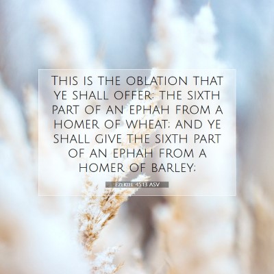 Picture 07 - Ezekiel 45:13 ASV - This is the oblation that ye shall offer: the - Bible Verse Picture