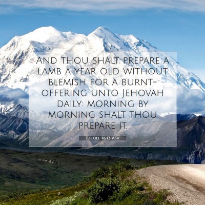 Picture 07 - Ezekiel 46:13 ASV - And thou shalt prepare a lamb a year old without - Bible Verse Picture