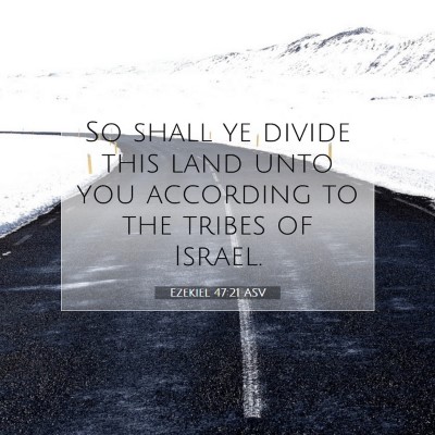 Picture 07 - Ezekiel 47:21 ASV - So shall ye divide this land unto you according - Bible Verse Picture