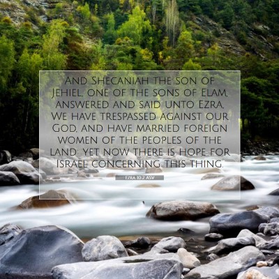 Picture 07 - Ezra 10:2 ASV - And Shecaniah the son of Jehiel, one of the sons - Bible Verse Picture