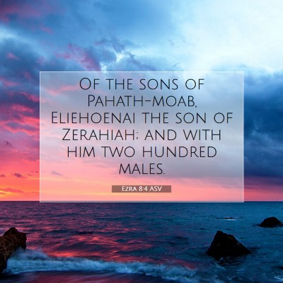 Picture 07 - Ezra 8:4 ASV - Of the sons of Pahath-moab, Eliehoenai the son of - Bible Verse Picture