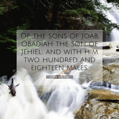 Picture 07 - Ezra 8:9 ASV - Of the sons of Joab, Obadiah the son of Jehiel; - Bible Verse Picture