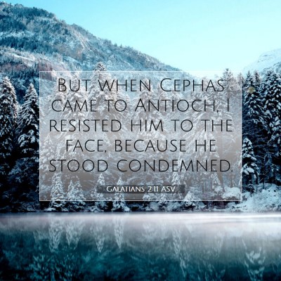 Picture 07 - Galatians 2:11 ASV - But when Cephas came to Antioch, I resisted him - Bible Verse Picture